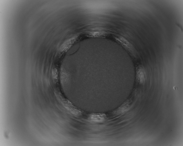 X0000100220571200806061347