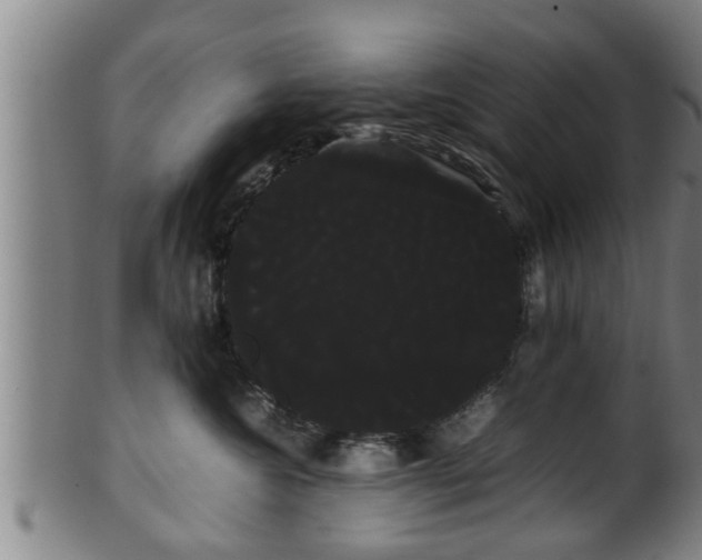 X0000100220572200806061347