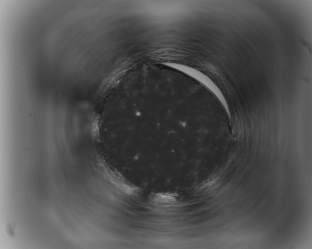 X0000100220573200806061347