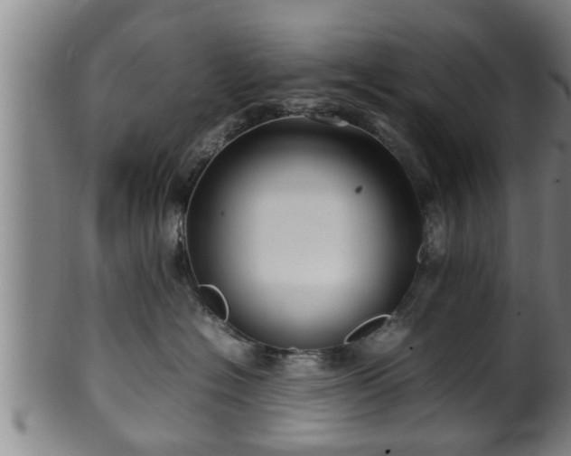 X0000100220574200806061347