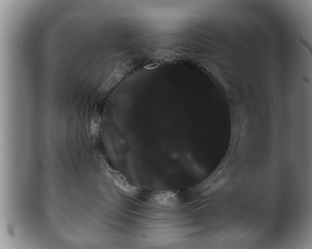 X0000100220576200806061347