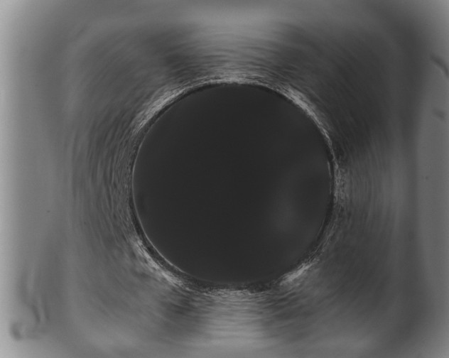 X0000100220577200806061347