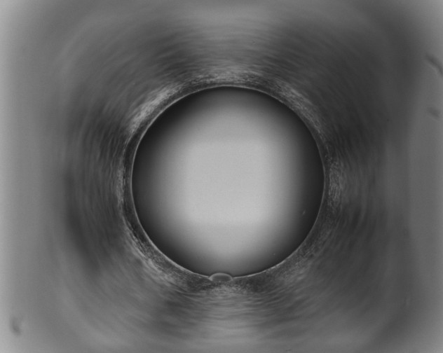 X0000100220578200806061347