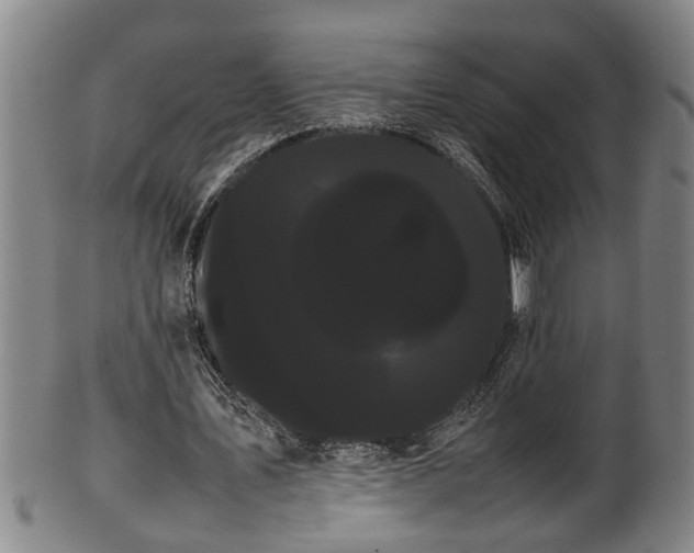 X0000100220579200806061347