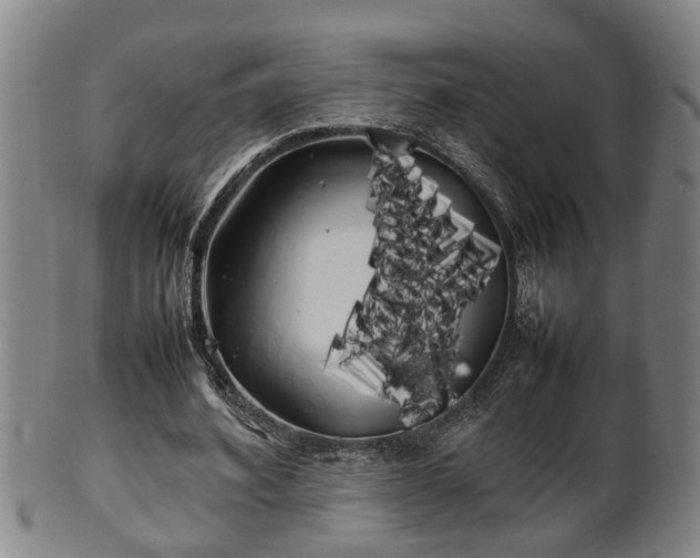 X0000100220580200806061347