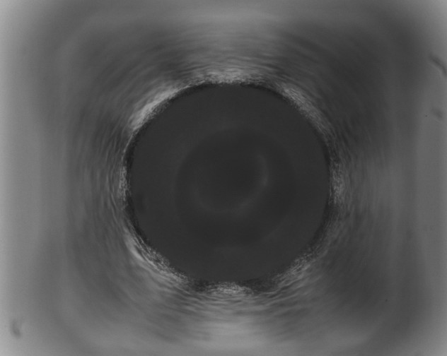 X0000100220583200806061347