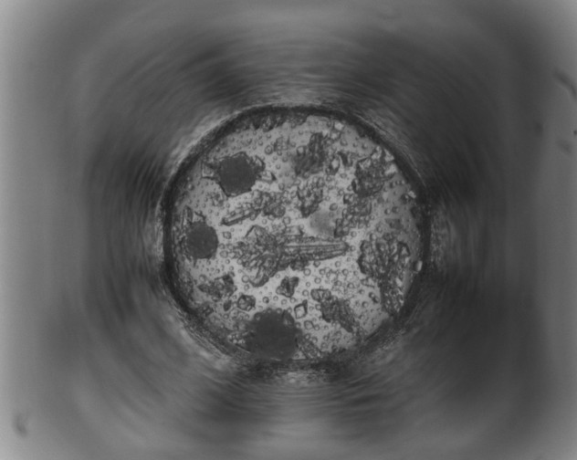 X0000100220584200806061347