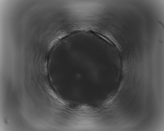 X0000100220585200806061347