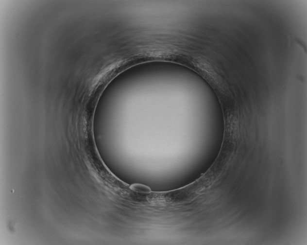 X0000100220587200806061347