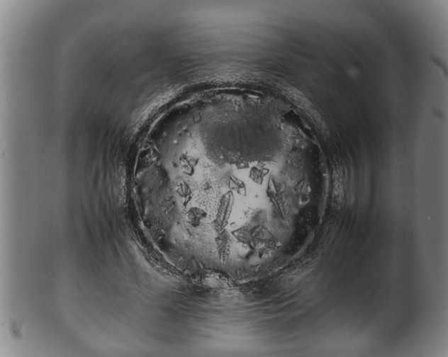 X0000100220588200806061347
