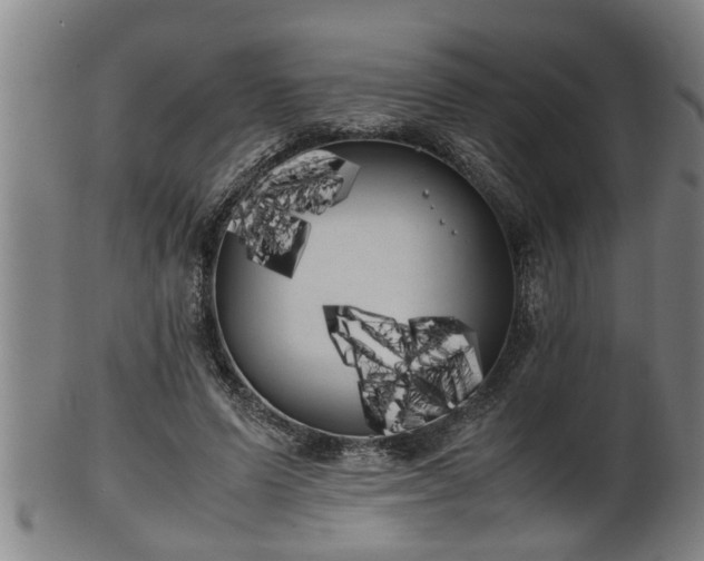 X0000100220591200806061347