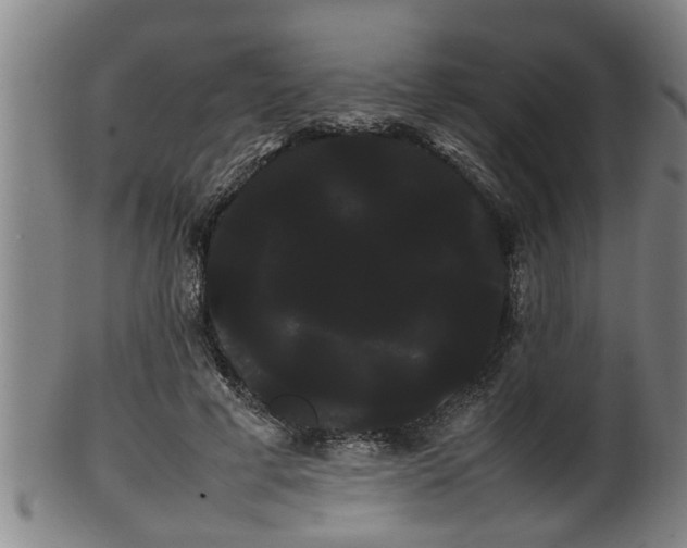 X0000100220593200806061347