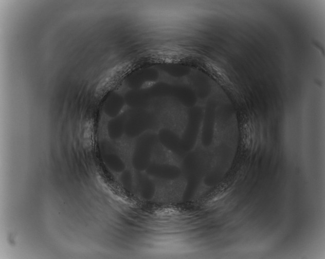 X0000100220594200806061347