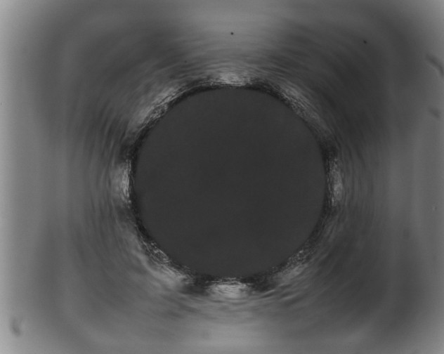 X0000100220595200806061346