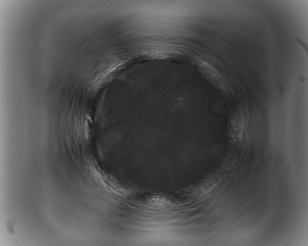 X0000100220596200806061346