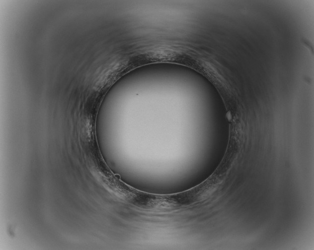 X0000100220597200806061346