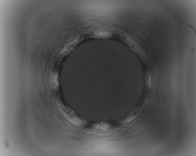 X0000100220599200806061346