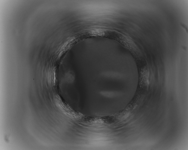 X0000100220600200806061346