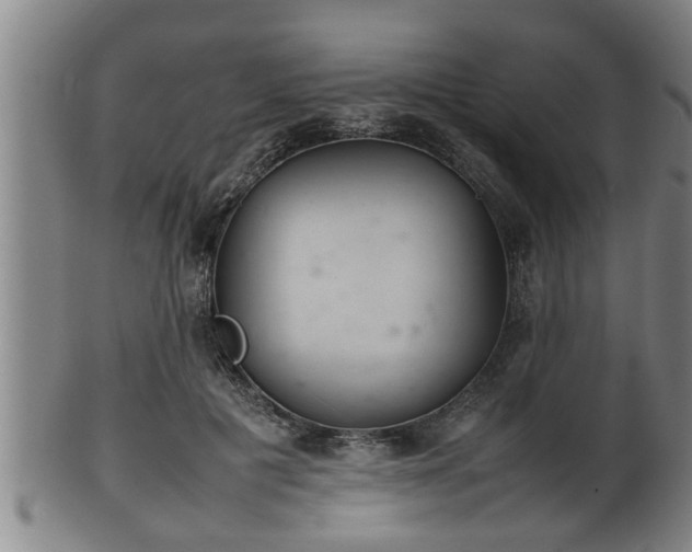 X0000100220601200806061346