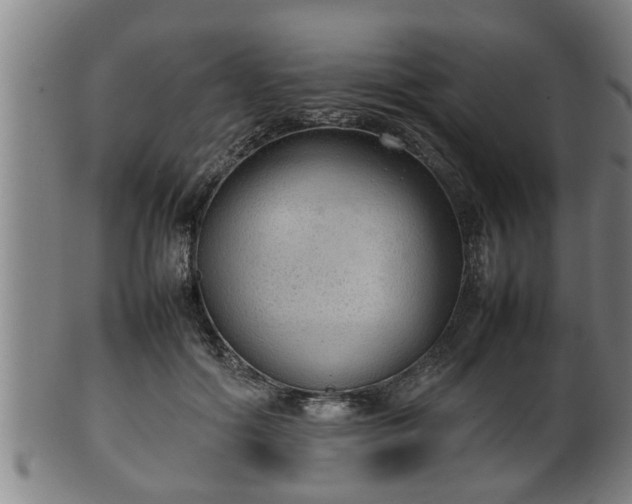 X0000100220602200806061346