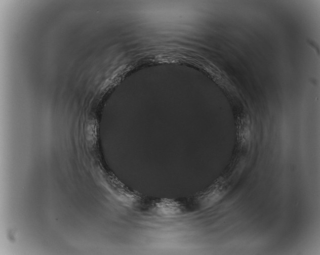 X0000100220603200806061346