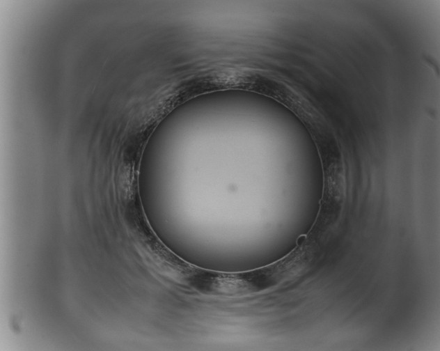 X0000100220605200806061346