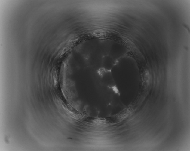 X0000100220606200806061346