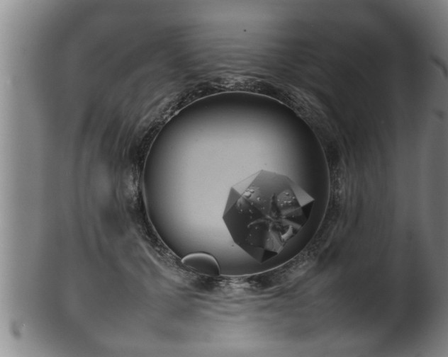 X0000100220607200806061346