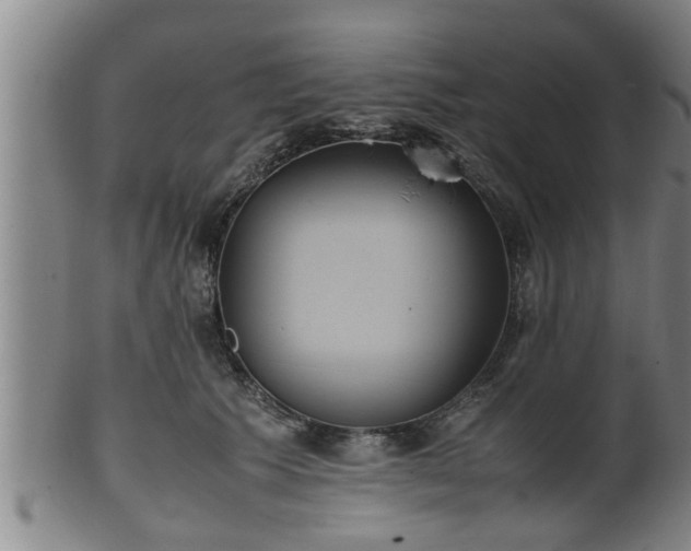 X0000100220609200806061346