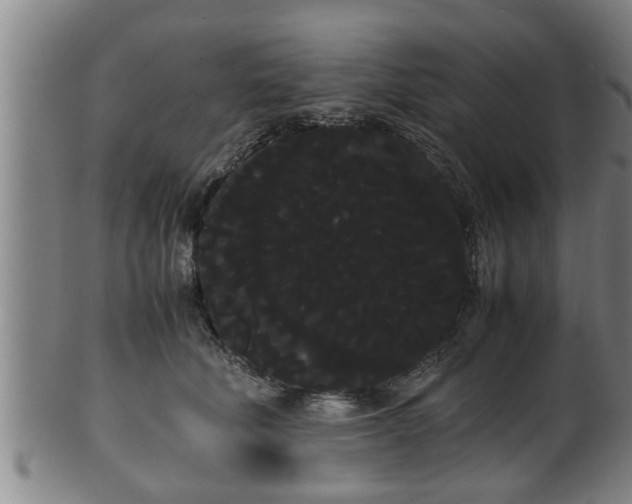 X0000100220610200806061346