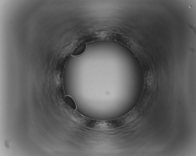 X0000100220611200806061346