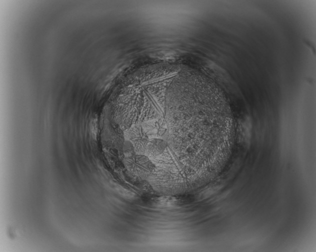 X0000100220612200806061346