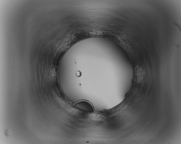 X0000100220614200806061346