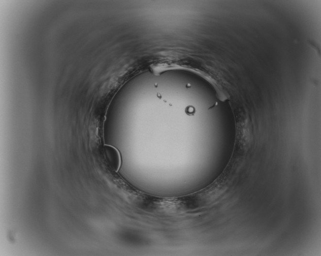 X0000100220615200806061346