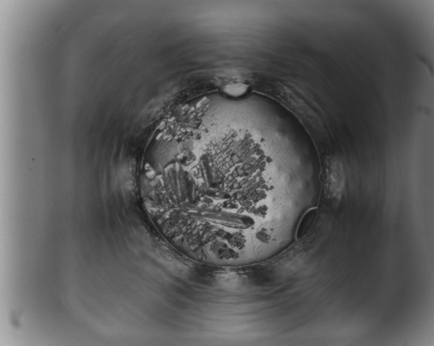 X0000100220616200806061346