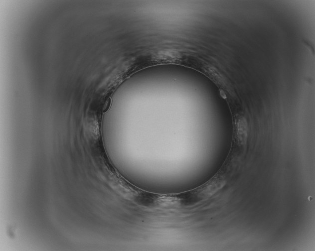 X0000100220617200806061346