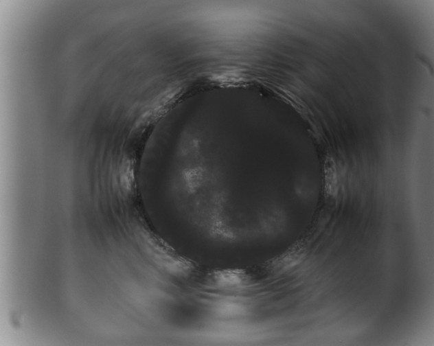 X0000100220618200806061346