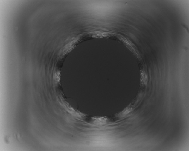 X0000100220621200806061346