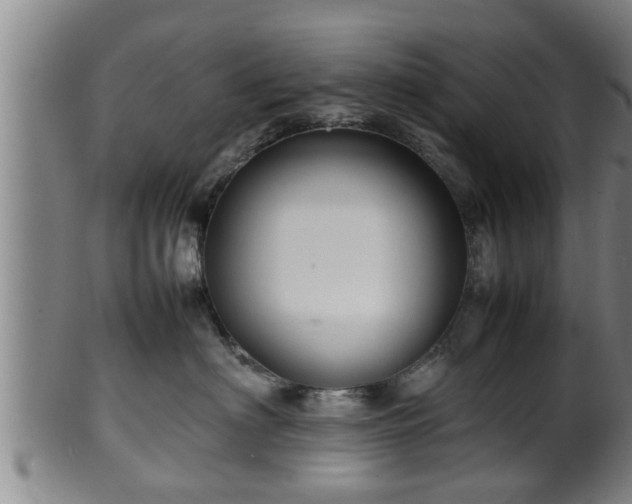 X0000100220622200806061346