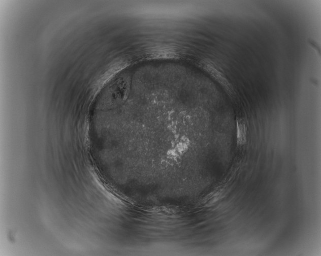 X0000100220627200806061345