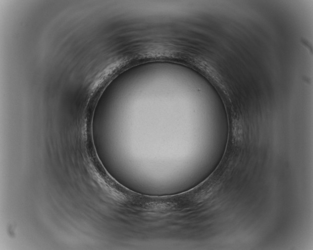 X0000100220629200806061345