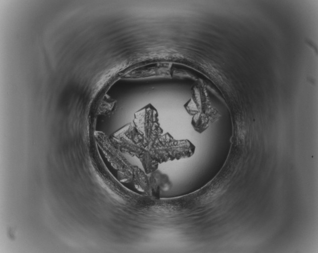 X0000100220630200806061345