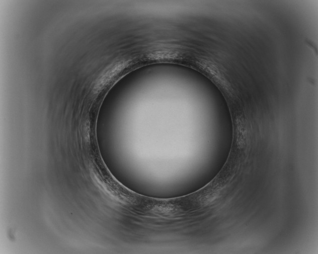 X0000100220631200806061345