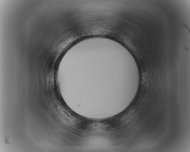 X0000100220632200806061345