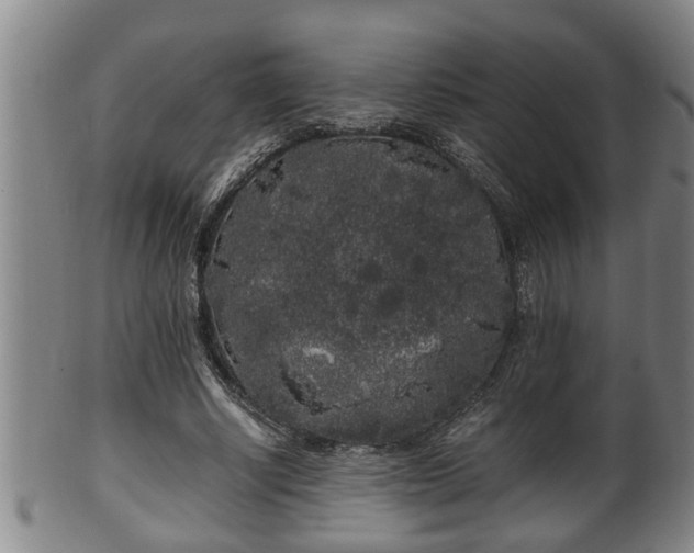 X0000100220634200806061346