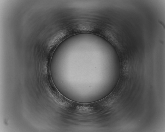 X0000100220635200806061346