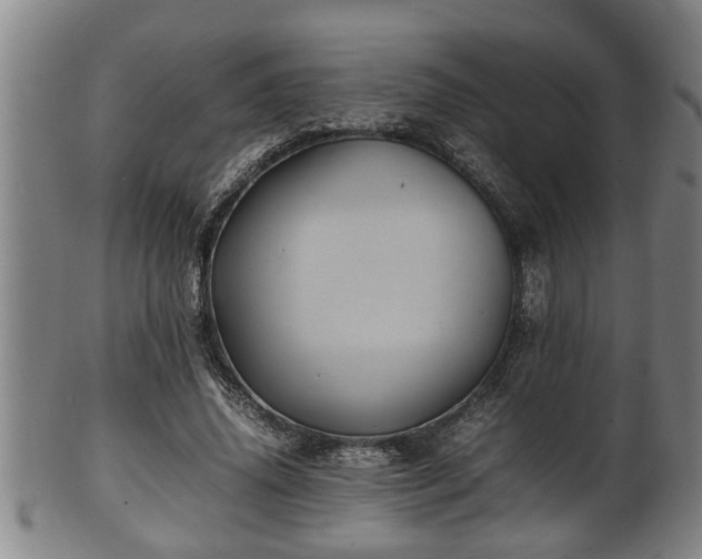 X0000100220636200806061346