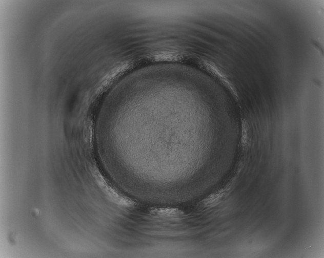 X0000100220637200806061346