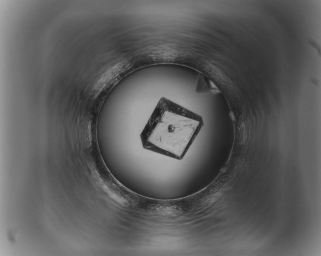X0000100220638200806061346