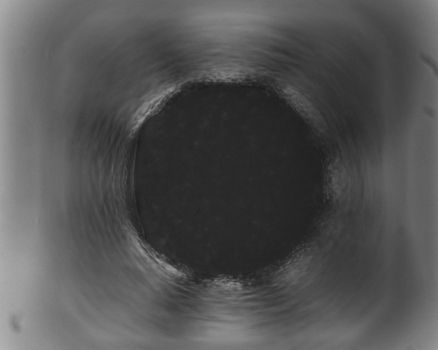 X0000100220640200806061346